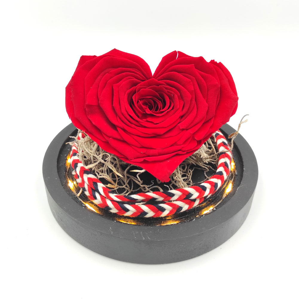 Forever Roses