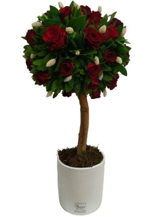 Elegant Red Roses Tree