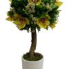 Elegant Yellow Orchid Tree