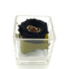 Forever Black/Gold (Large+/H 4.5cm x D 6.5cm) Σε Γυαλί 8χ8εκ.