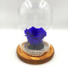Forever Blue (Large+/H 4.5cm x D 6.5cm) Σε Μικρό Γυάλινο Θόλο