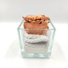 Forever Bronze (Large+/H 4.5cm x D 6.5cm) Σε Γυαλί 8x8εκ.