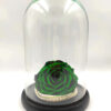 Forever Dark Green Bonita (XXL/H 5.5cm x D 9.5cm)