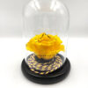 Forever Festival Yellow (Large Plus/H 4.5cm x D 6.5cm) Σε Μικρό Γυάλινο Θόλο