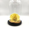 Forever Lemon Bonita (XXL/H 5.5cm x D 9.5cm)