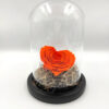 Forever Orange Heart