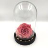 Forever Punch Bonita (XXL/H 5.5cm x D 9.5cm) In Glass Led Stolp!