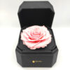 Forever Pink Bonita (XXL/H 5.5cm x D 9.5cm)