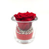 Forever Red (Large +/H 4.5cm x D 6.5cm) Σε Κυλινδρικό Γυαλί 9x8εκ.
