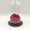 Forever Red Bonita Silver-Glitter