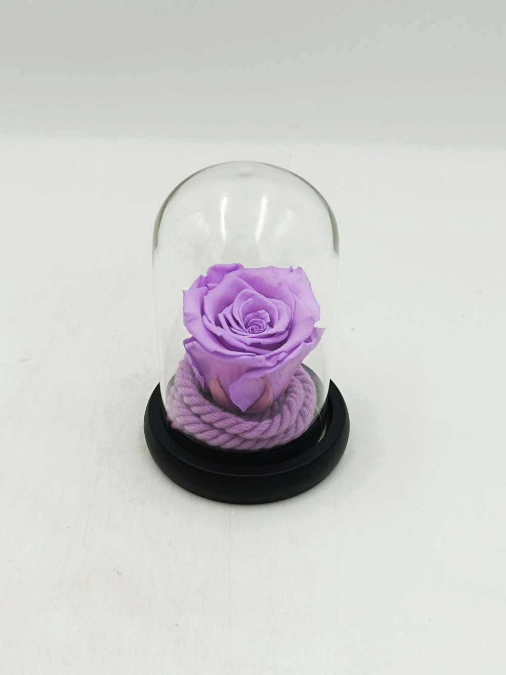 Forever Violet Σε Μίνι Γυάλινο Θόλο