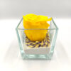 Forever Yellow (Large+/H 4.5cm x D 6.5cm) Σε Γυαλί 8x8εκ.