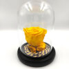 Forever Yellow (Large Plus/H 4.5cm x D 6.5cm) Σε Μικρό Γυάλινο θόλο