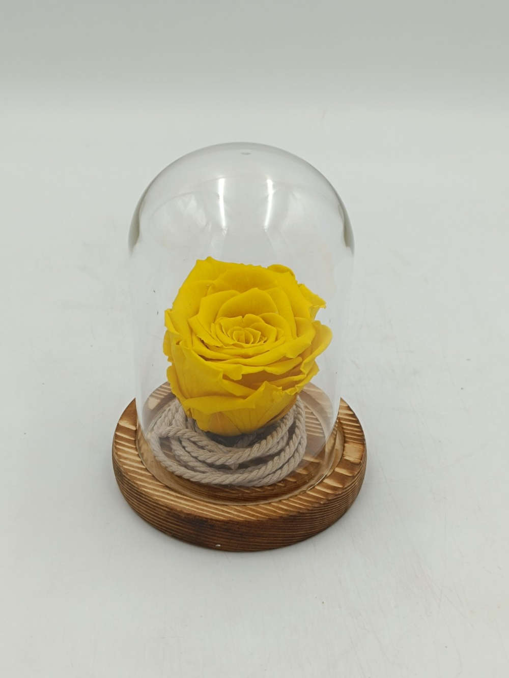 Forever Yellow Σε Μίνι Γυάλινο Θόλο