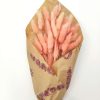 Lagurus Pink