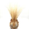 Stypha Penatta