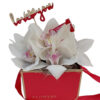 White Orchids For U
