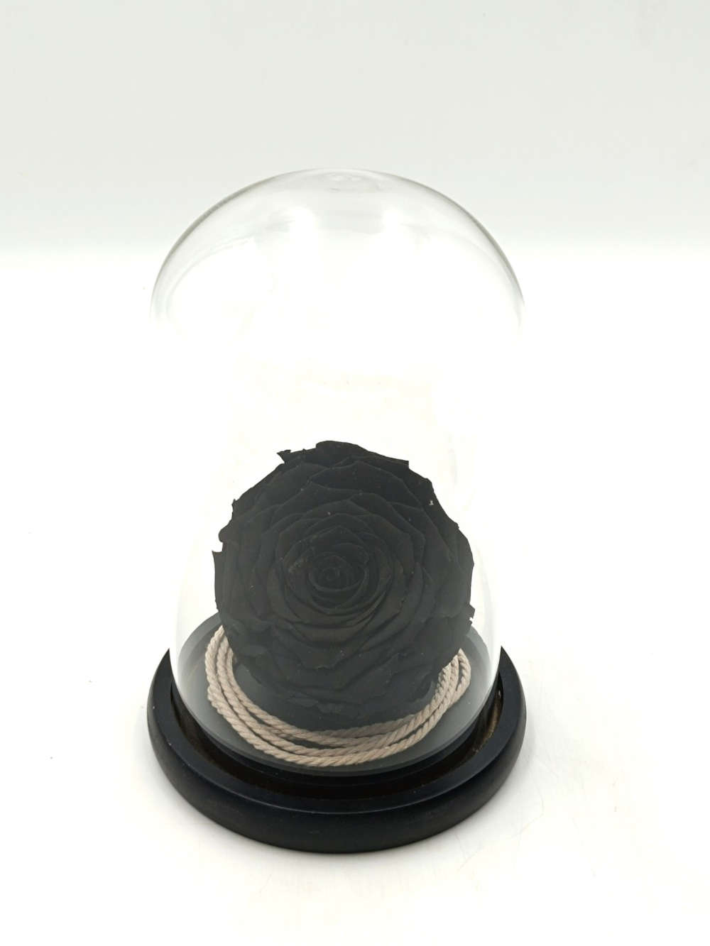 Forever Black Bonita (XXL H 5.5cm x D 9.5cm)