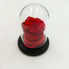 Forever Red (Large+/H 4.5cm x D 6.5cm) Σε Μίνι Γυάλινο Θόλο
