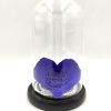 Forever Blue Heart