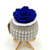 Forever Blue Σε Terracotta