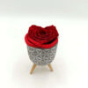 Forever Red Heart Medium Σε Κεραμικό Πότ