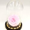 Forever Pink Bonita (XXLH 5.5cm x D 9.5cm) In Glass Led Stolp!