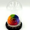 Forever Rainbow Bonita (XXL H 5.5cm x D 9.5cm) In Glass Led Stolp!
