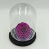 Forever Lila Bonita (XXL H 5.5cm x D 9.5cm)