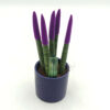 Sansevieria Lila Mini