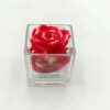 Forever Bicolor Red Σε Γυαλί 8χ8εκ.