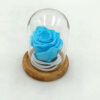 Forever Turquoise (Large/H 4.5cm x D 5.0cm) Σε Μίνι Γυάλινο Θόλο
