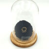 Forever Black/Gold Bonita (XXL H 5.5cm x D 9.5cm)