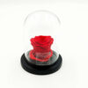 Forever Red (Large Plus/H 4.5cm x D 6.5cm) Σε Μικρό Γυάλινο Θόλο