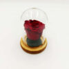 Forever Dark Red Red (Large+/H 4.5cm x D 6.5cm) Σε Μίνι Γυάλινο Θόλο