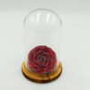 Forever Red/Silver Bonita (XXL H 5.5cm x D 9.5cm)