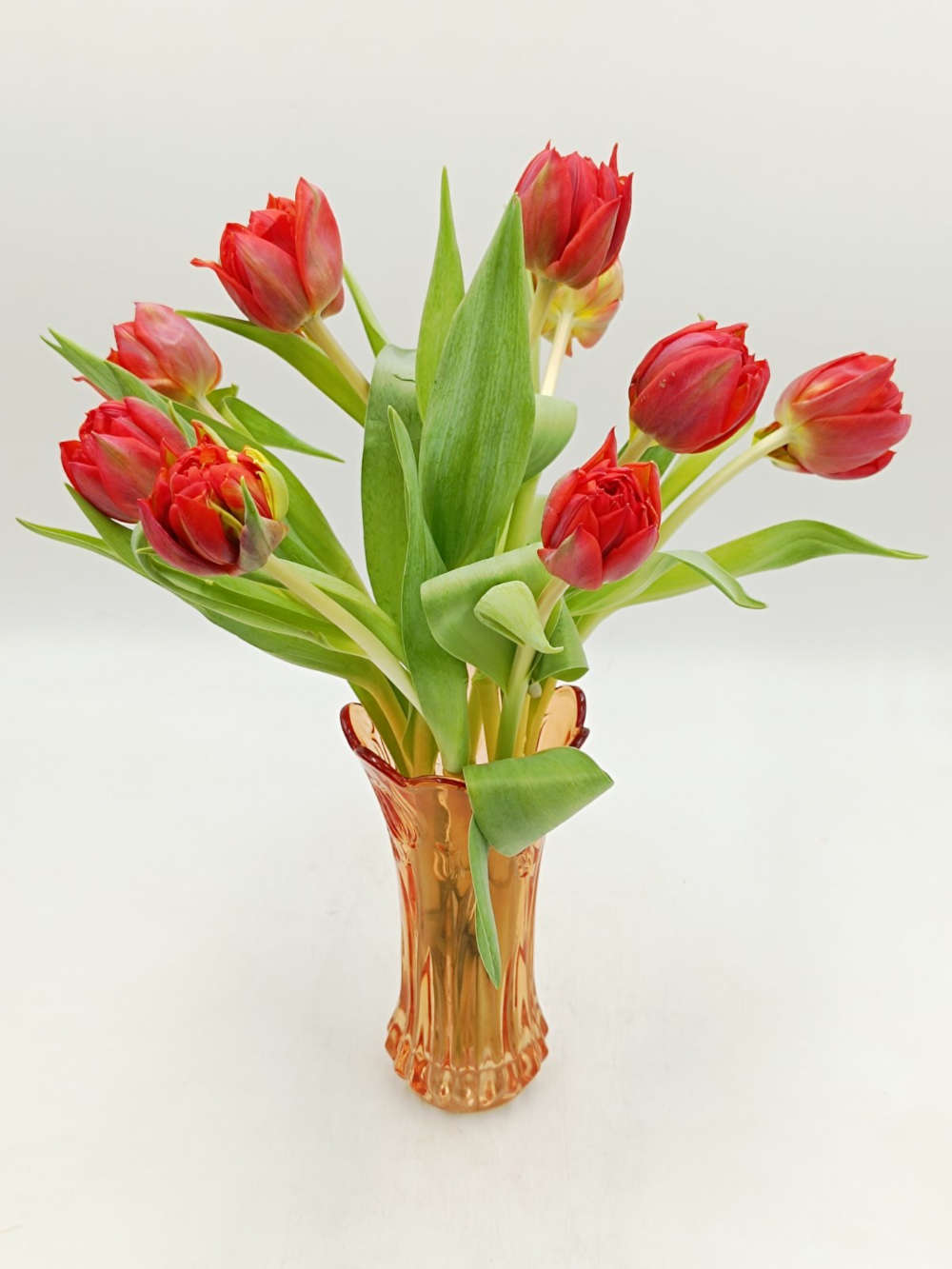 Τουλίπες Κόκκινες Σε Βάζο Tulip