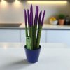 Sansevieria Lila 33cm