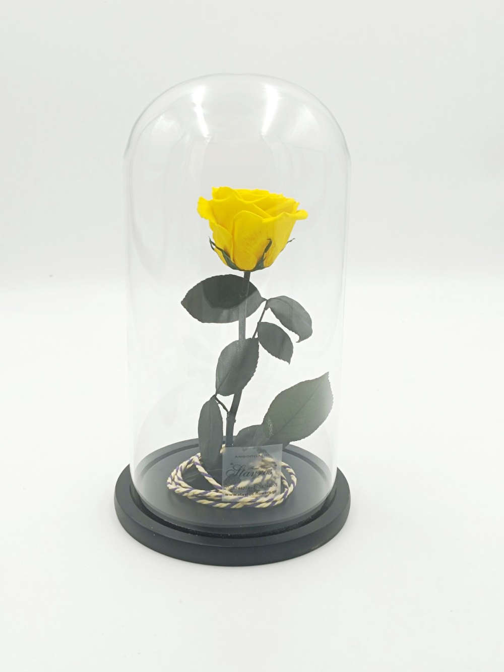 Forever Yellow