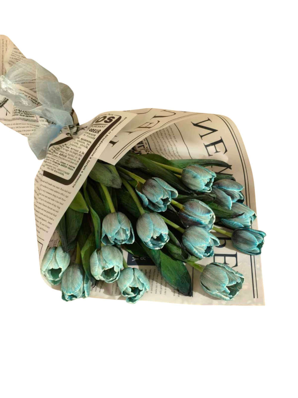 Τουλίπες Vip Royal Blue - Image 2